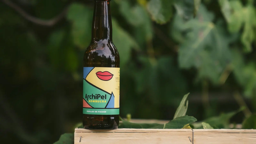 Archipel : le kombucha artisanal de brasseurs | Sobrissim