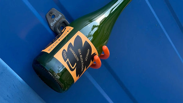 Bouche : kombuchas artisanaux de Berlin | Sobrissim