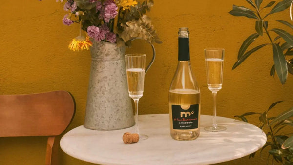 Moderato : le vin sans alcool made in Gascogne | Sobrissim
