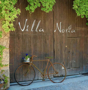 Villa Noria : on aime leur Fermentation sans alcool !