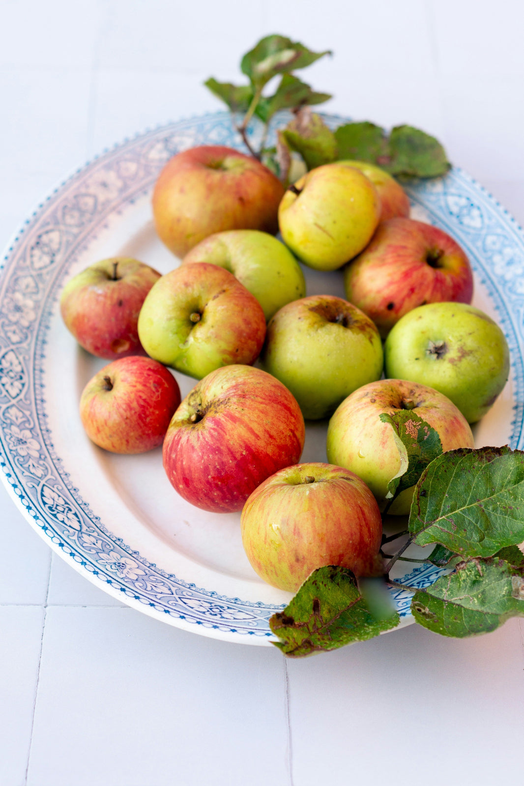 Photographe : Margaret Jaszowska