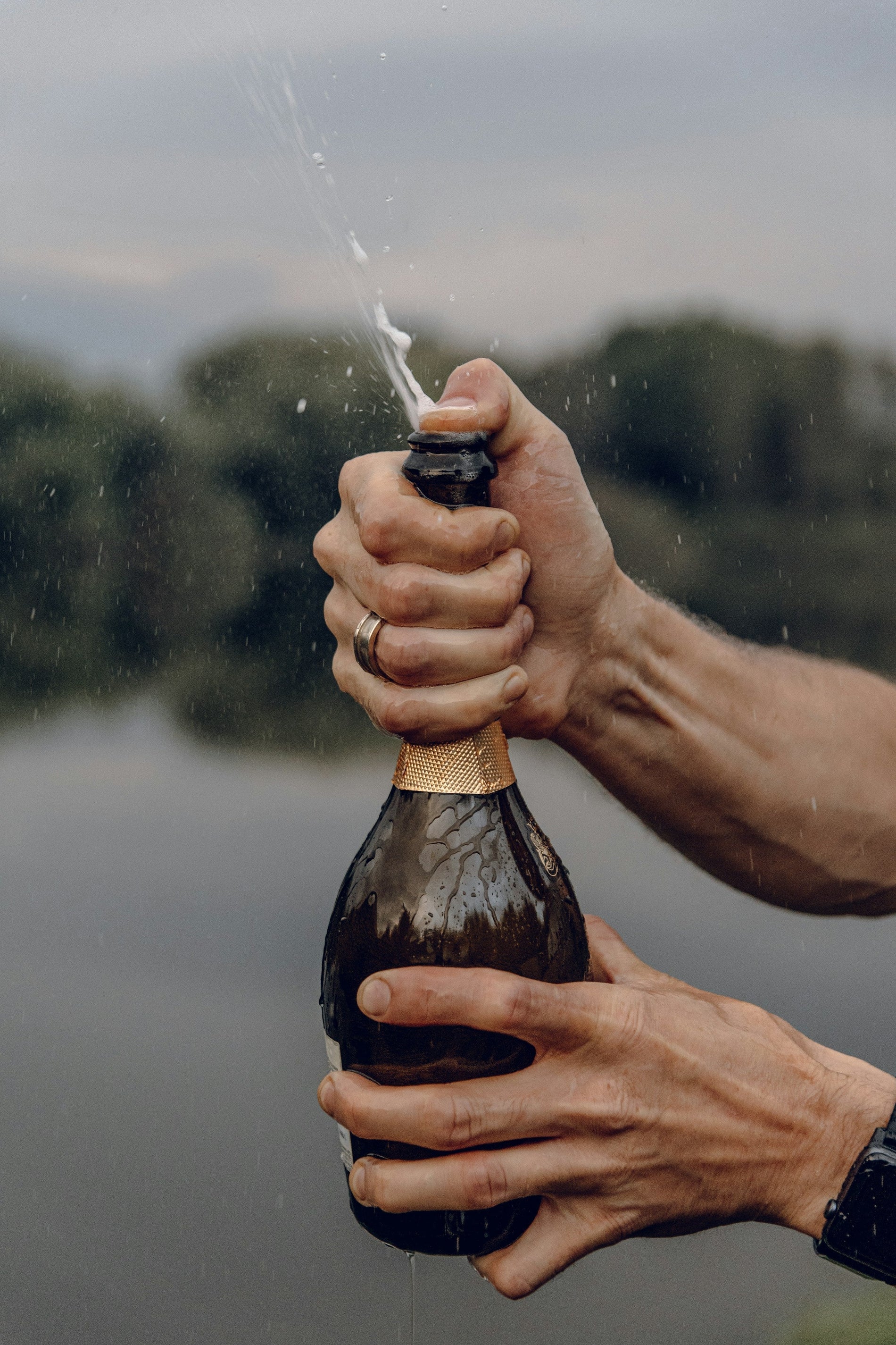 Le Manifesto de Sobrissim