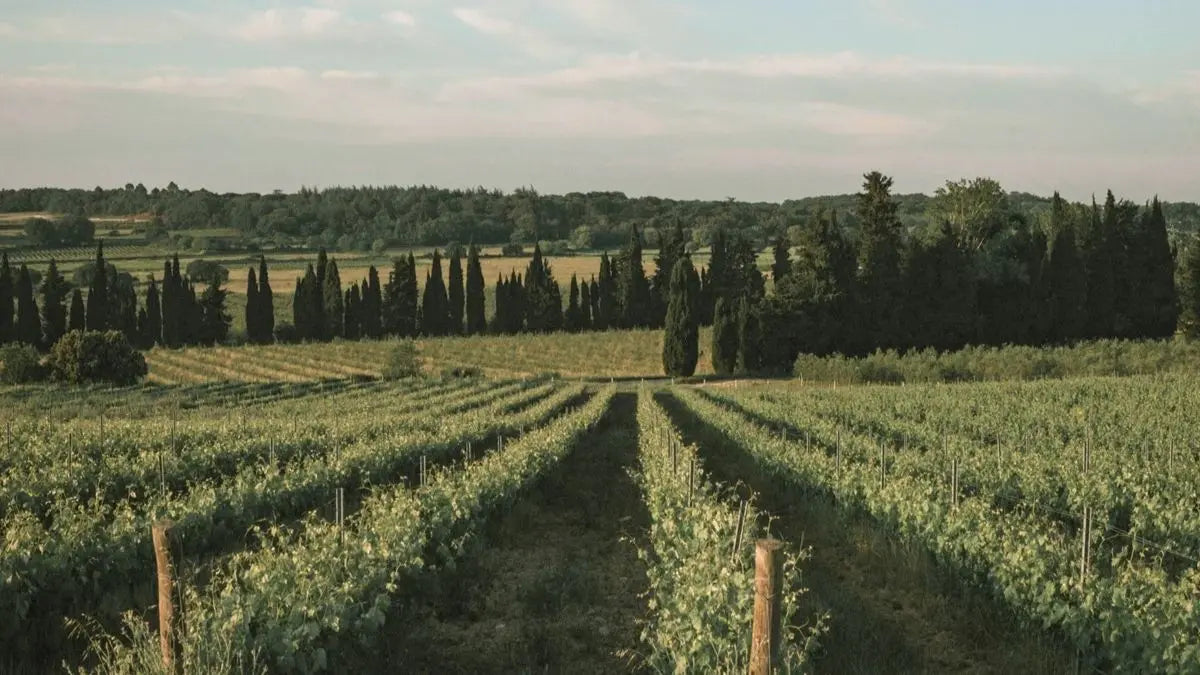 Domaine de Panéry