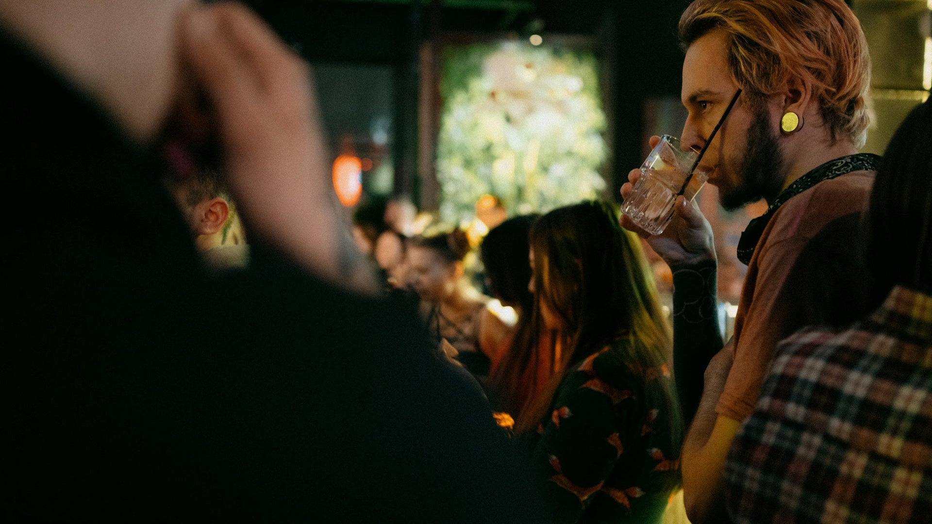 Assortiment de boissons apéritives et softs premium : tonics, ginger beers et élixirs sans alcool.