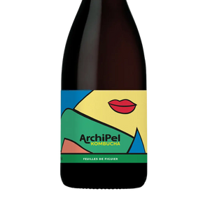 archipel_kombucha-figuier