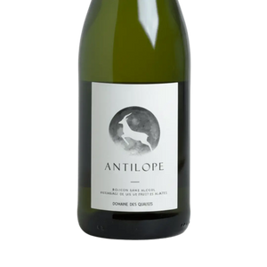 domaine-des-grottes_antilope