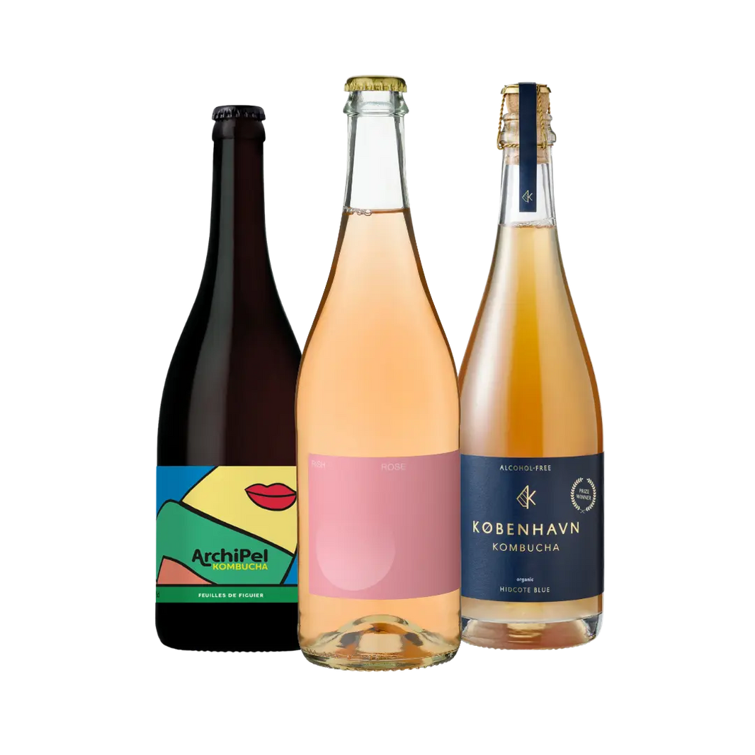Trio Top Kombuchas - Sobrissim