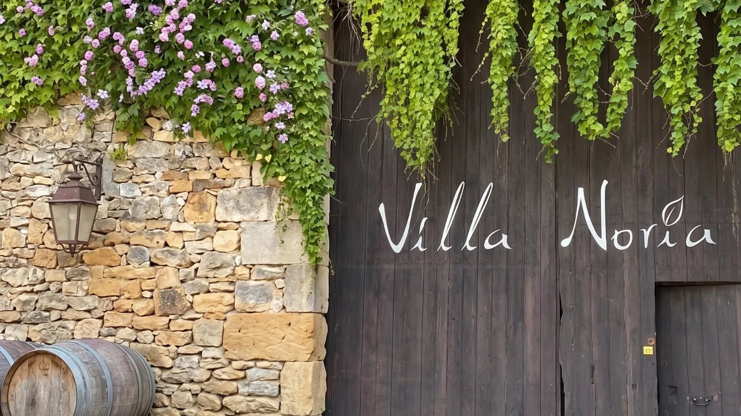 Domaine Villa Noria LEVIN 0%